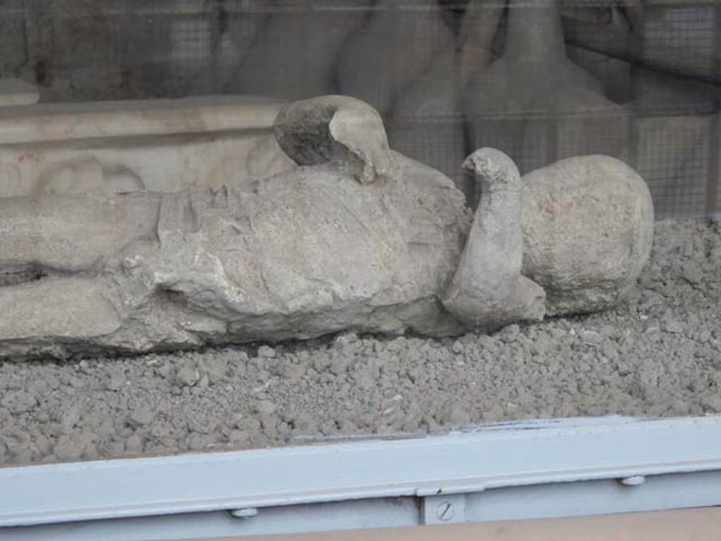 VII.7.29 Pompeii. Victim 53. May 2015. Detail of plaster cast of a child found in lower corridor of VI.17.42.
Photo courtesy of Buzz Ferebee.

