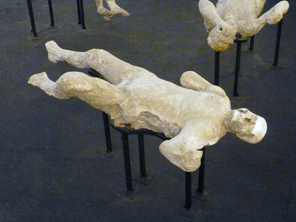 I.6.2 Pompeii. September 2015. Exhibit from the Summer 2015 exhibition in the amphitheatre.
Plaster-cast of victim number 20 found to the north of the other group of two females in the garden area.

