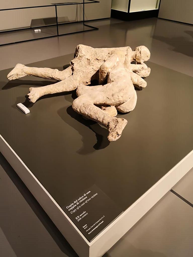 I.6.2 Pompeii. Victims 21 and 22. December 2019. Victims 21 (rear) and 22 (front).
On display in exhibition “Pompei e Santorini” in Rome, 2019. Photo courtesy of Giuseppe Ciaramella.
