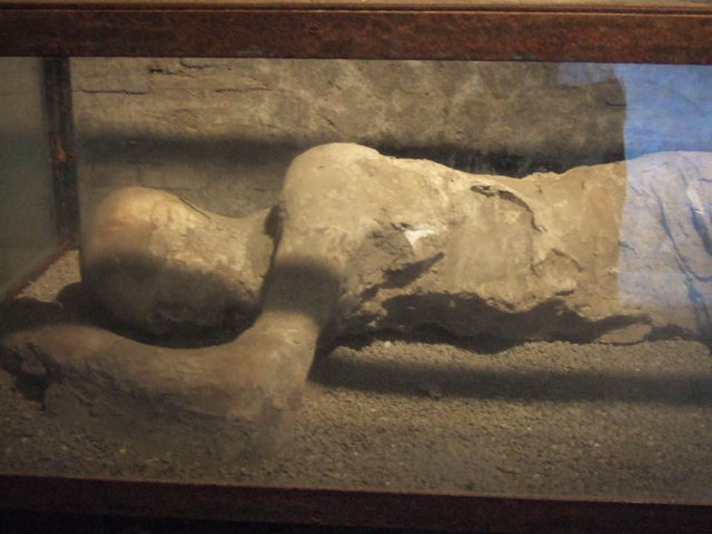 Villa of Mysteries, Pompeii. May 2006. Victim 25. Upper part of body cast of a man found in room 35.
Villa dei Misteri, Pompei. Maggio 2006. Vittima 25. Calco della parte superiore del corpo di un uomo trovato nella stanza 35.

