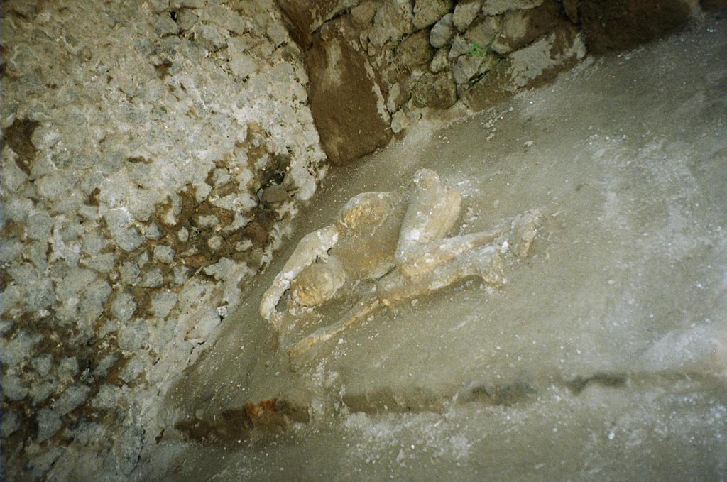 North-west side of Pompeii Via delle Tombe, plaster casts of victims. May 2006.
