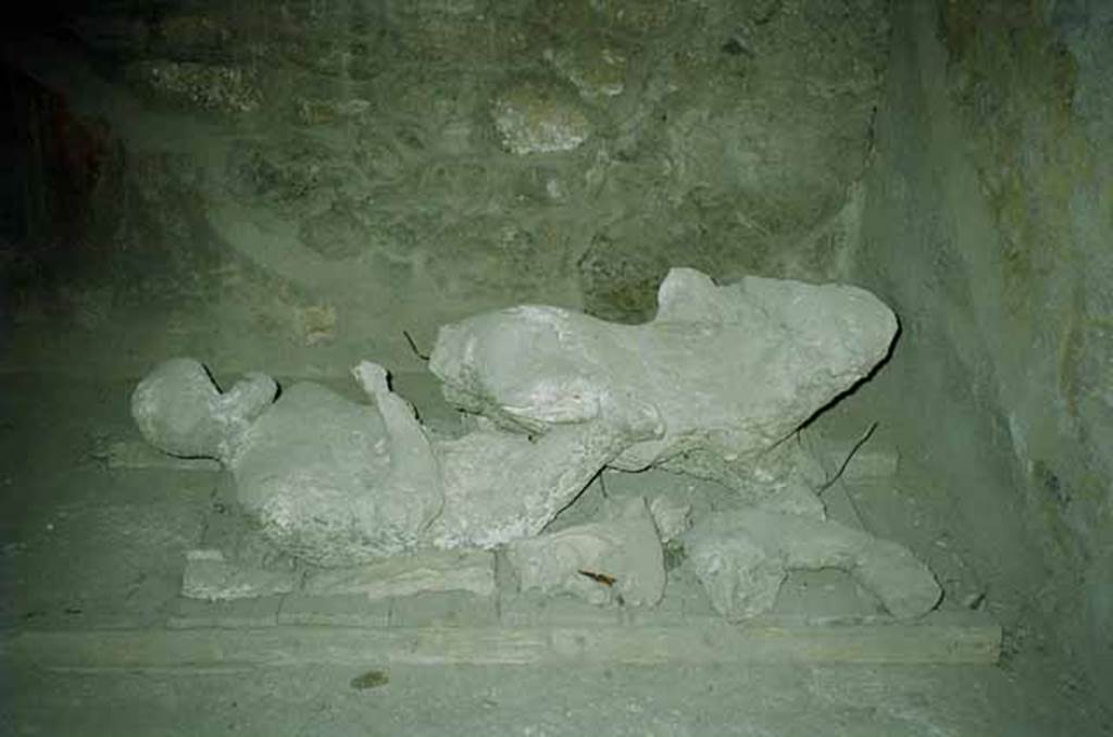 I.8.17 Pompeii. June 2010. Room 10, plaster casts of victims. Looking east. Photo courtesy of Rick Bauer.