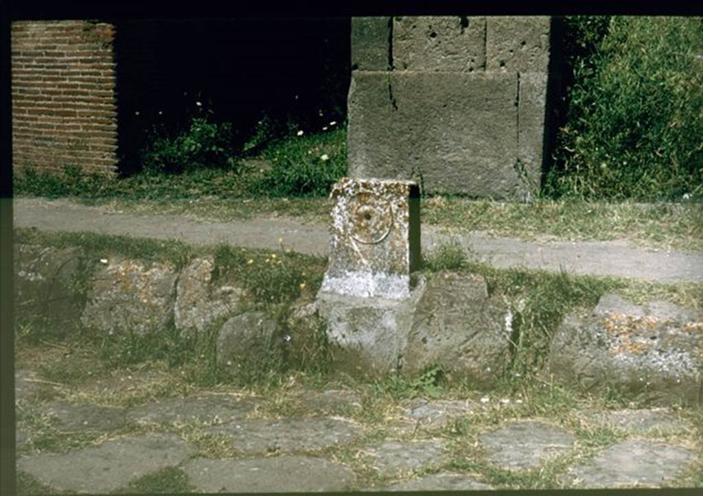 V.1.3 Pompeii. June 2019. Looking north at fountain between V.1.3 and V.1.4. with detail of relief of “patera” or plate.
Photo courtesy of Buzz Ferebee.
