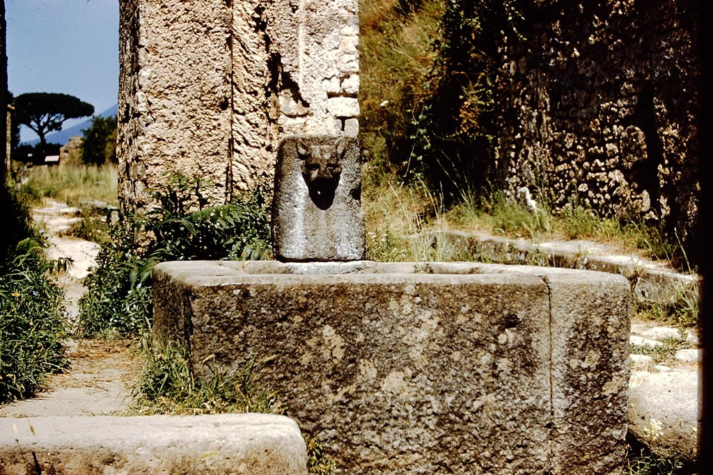 Fountain with the face of a panther, and water column at its rear, between VI.16.3 and VI.16.4 on Via del Vesuvio. 1959. Photo by Stanley A. Jashemski.
Source: The Wilhelmina and Stanley A. Jashemski archive in the University of Maryland Library, Special Collections (See collection page) and made available under the Creative Commons Attribution-Non Commercial License v.4. See Licence and use details.
J59f0425
