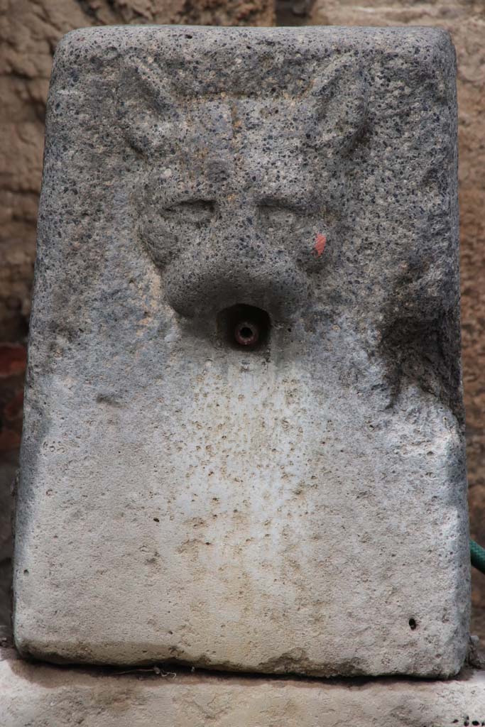 Fountain relief with face of panther, between VI.16.3 and VI.16.4. October 2020. Photo courtesy of Klaus Heese.