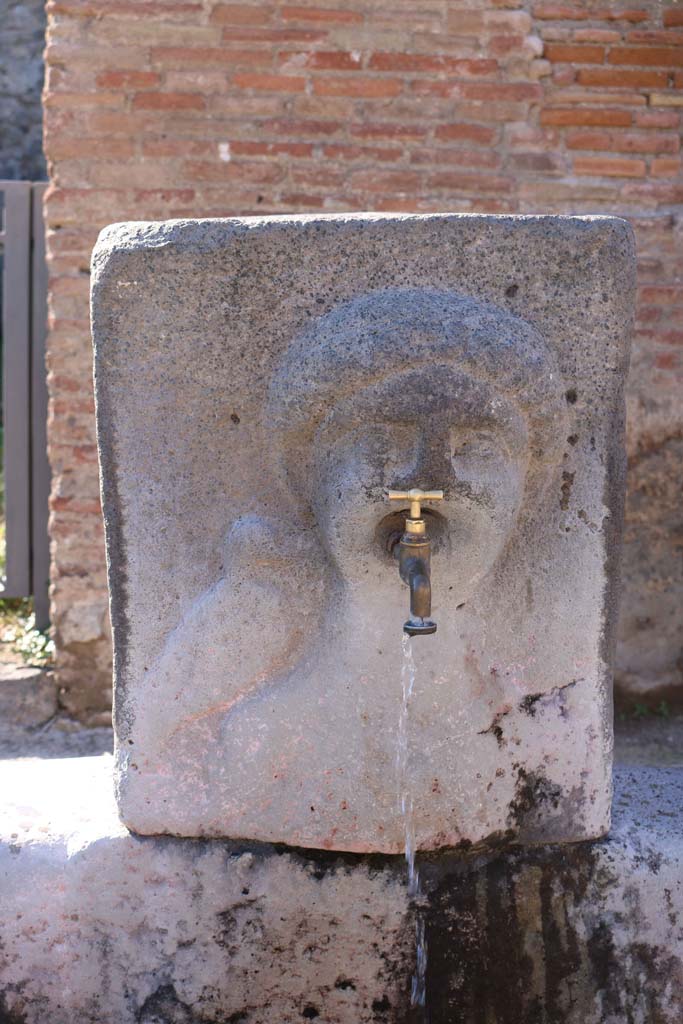 Fountain outside VII.1.32 and VII.1.33. December 2018. 
Relief of Venus with dove standing on her right shoulder. Photo courtesy of Aude Durand.

