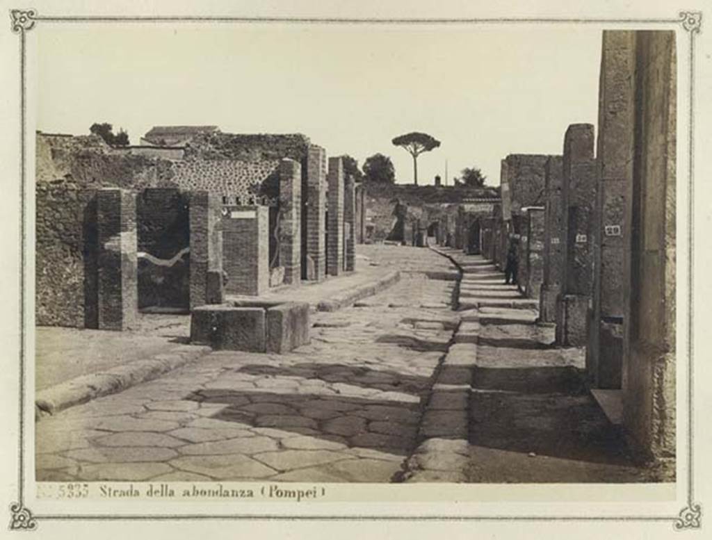 Fountain outside VII.14.13 and VII.14.14 on Via dell’Abbondanza. From an album dated February 1874. Looking east from near fountain.
In the distance is the “as-yet-unexcavated” area near Holconius crossroads. Photo courtesy of Rick Bauer.

In the distance is the “as-yet-unexcavated” area near Holconius crossroads. Photo courtesy of Rick Bauer.
