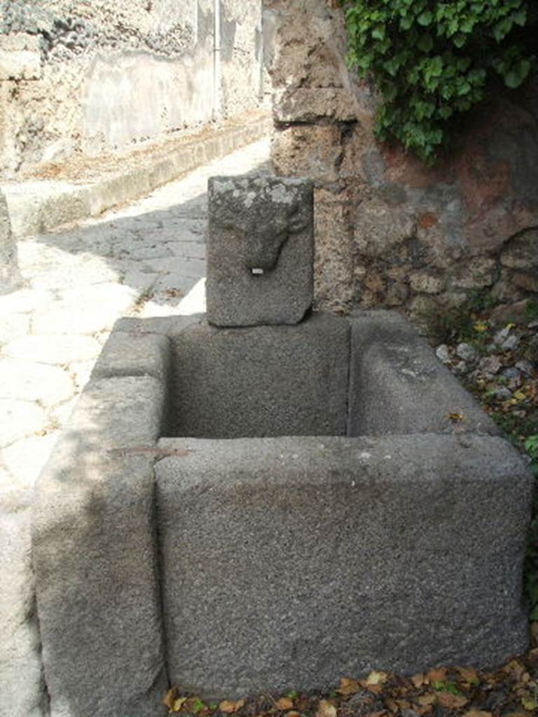 Pompeii. Fountain on Vicolo di Tesmo outside IX.7.17. May 2005. Bulls head.