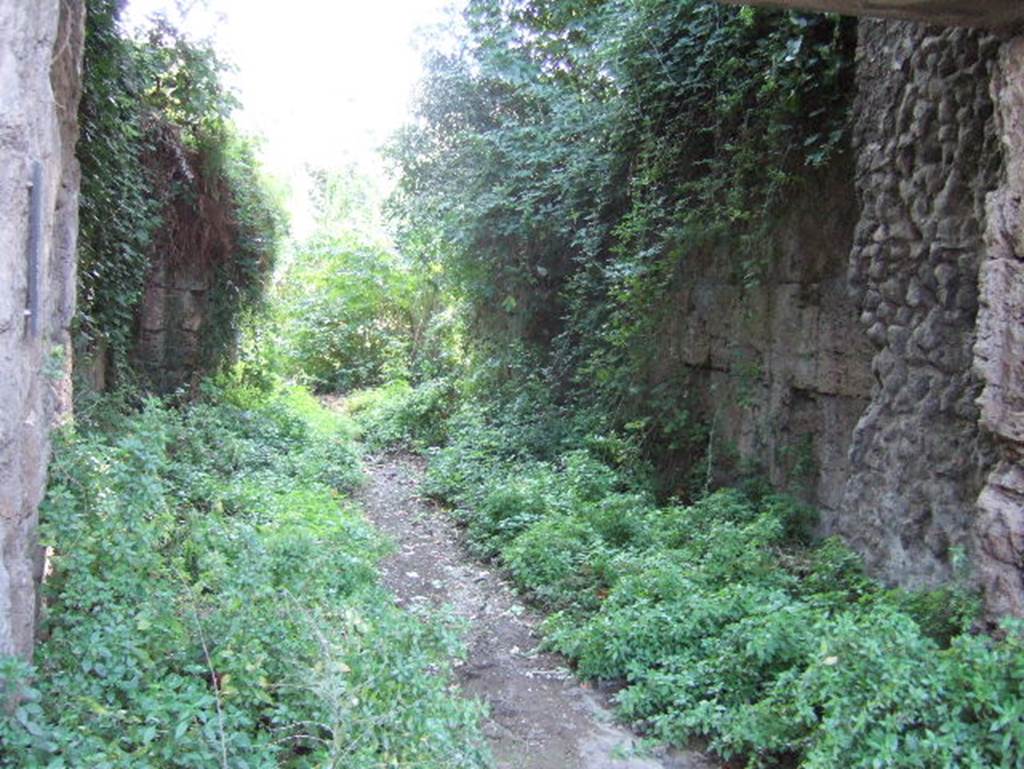 Porta Stabia Pompeii. June 2019. Looking north along east wall towards Gate. Photo courtesy of Johannes Eber.