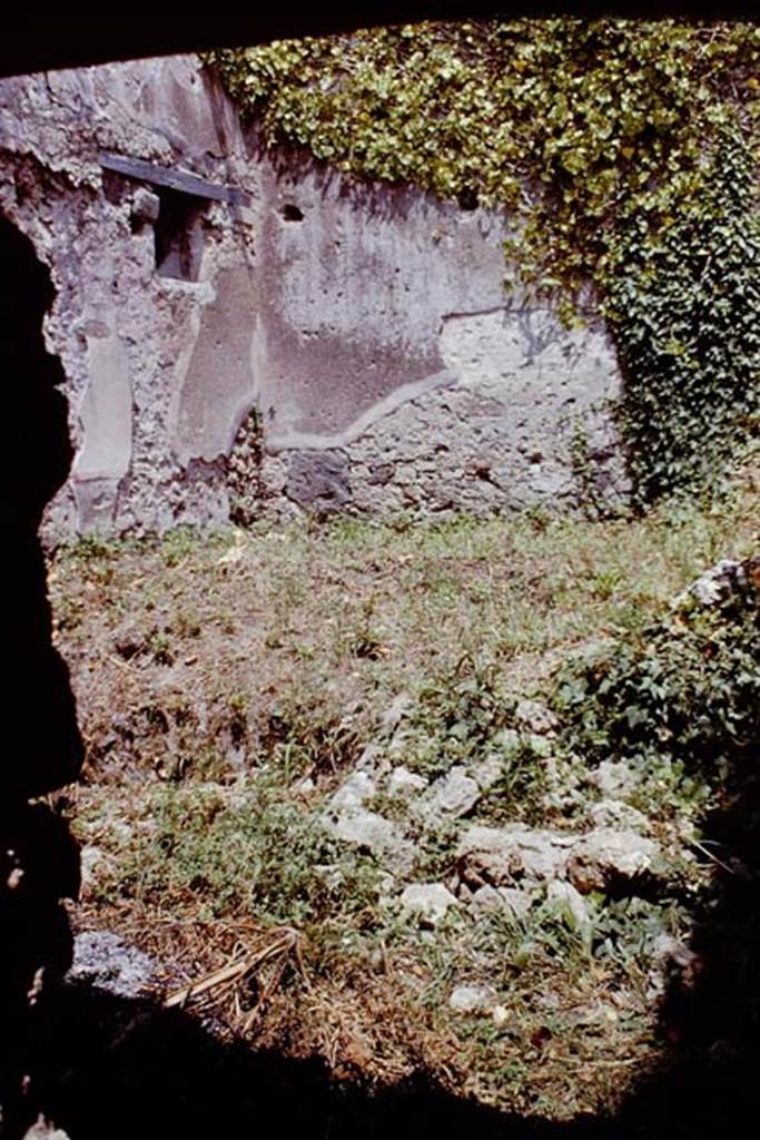 I.4.11 Pompeii. 1961. Looking towards the east wall of the garden/viridarium. Photo by Stanley A. Jashemski.
Source: The Wilhelmina and Stanley A. Jashemski archive in the University of Maryland Library, Special Collections (See collection page) and made available under the Creative Commons Attribution-Non Commercial License v.4. See Licence and use details.  J61f0715  
