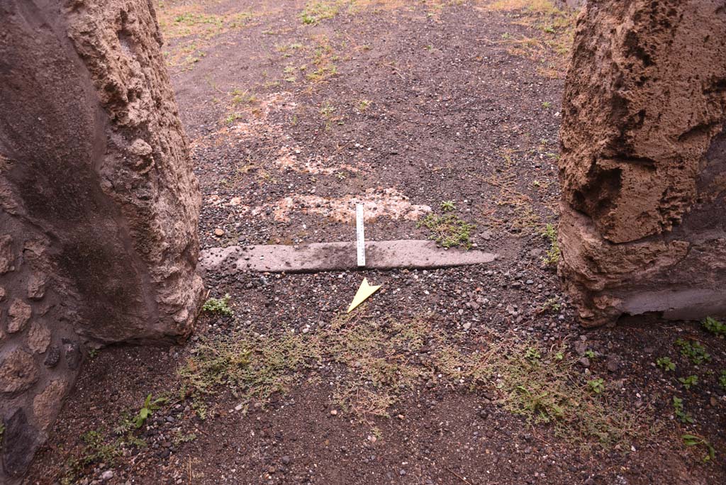 I.4.25 Pompeii. September 2020. Room 48, south wall with doorway to atrium.
Foto Tobias Busen, ERC Grant 681269 DCOR

