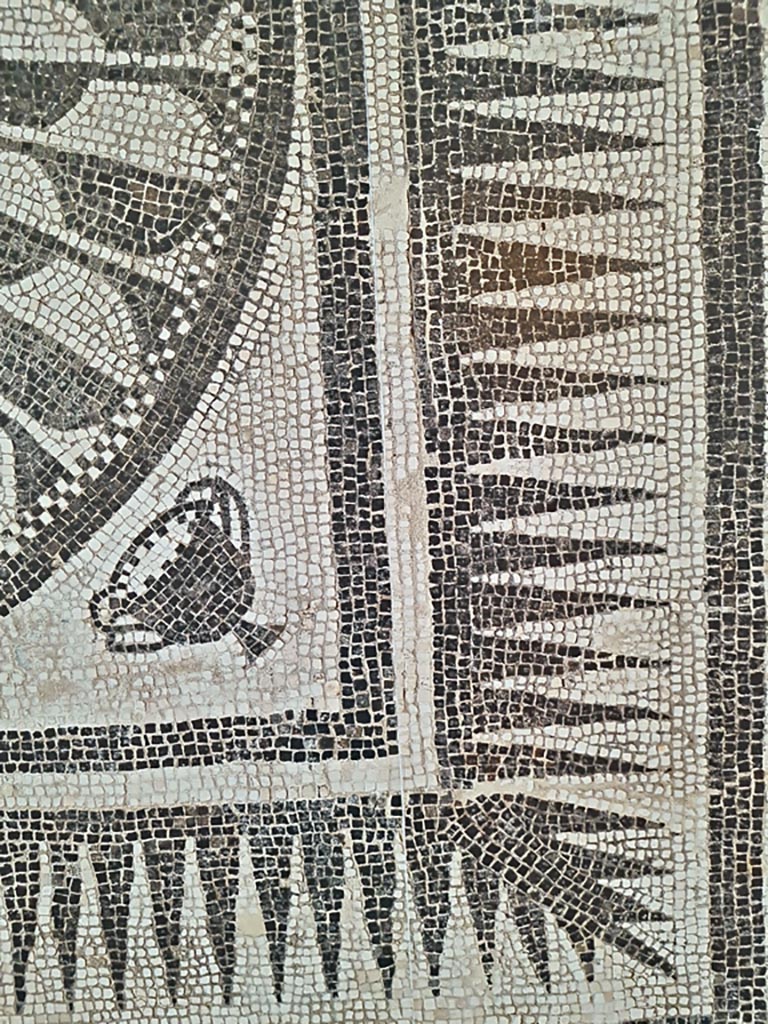 I.4.25 Pompeii. September 2024. Detail from mosaic. Photo courtesy of Giuseppe Ciaramella.