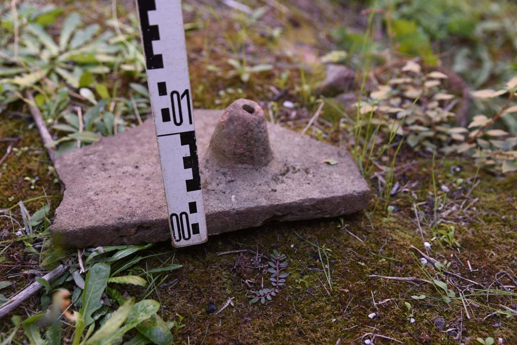 I.4.25/I.4.5 Pompeii. October 2019. Calidarium 41, detail of Tegula Mammata.
Foto Tobias Busen, ERC Grant 681269 DCOR.
