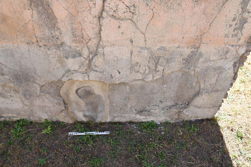 I.4.25 Pompeii. September 2020. Room 58, detail of zoccolo/dado of south wall of large room. 
Foto Tobias Busen, ERC Grant 681269 DÉCOR.
