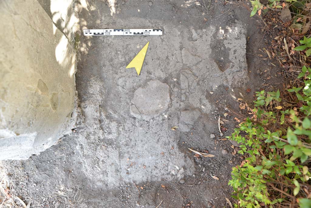 I.4.25 Pompeii. September 2020. Upper Peristyle 56, detail from east of column in north-west corner, looking north.
Foto Tobias Busen, ERC Grant 681269 DCOR

