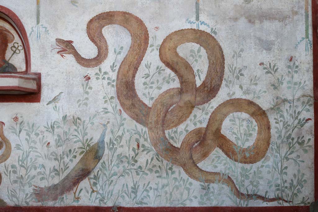 I.6.2 Pompeii. December 2018. Detail of large serpent on the painted lararium with bird and peacock. Photo courtesy of Aude Durand.