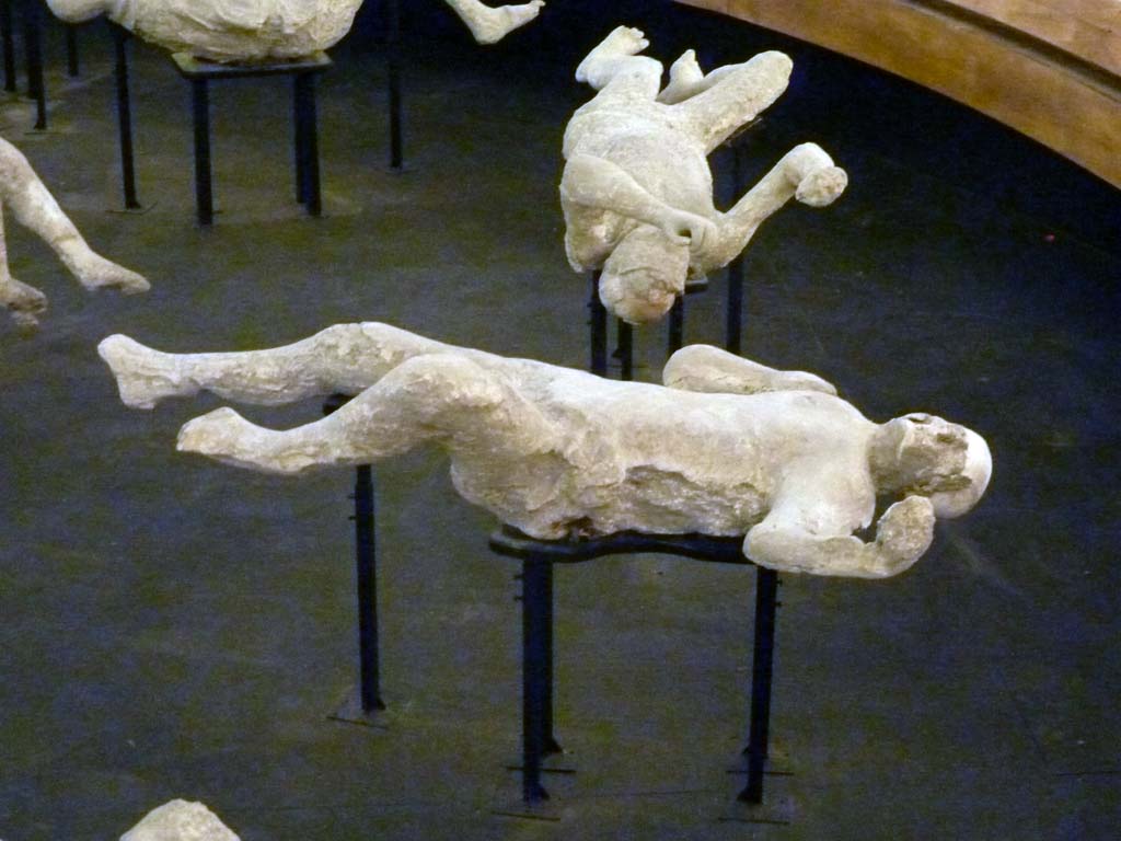 I.6.2 Pompeii. September 2015. Exhibit from the Summer 2015 exhibition in the amphitheatre.
Plaster cast of one of the victims, number 20, found to the north of the other group of two females.


