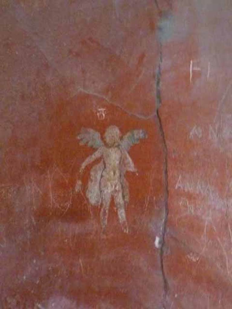 I.6.7 Pompeii. May 2010. Painted flying cupid at east end of south wall.