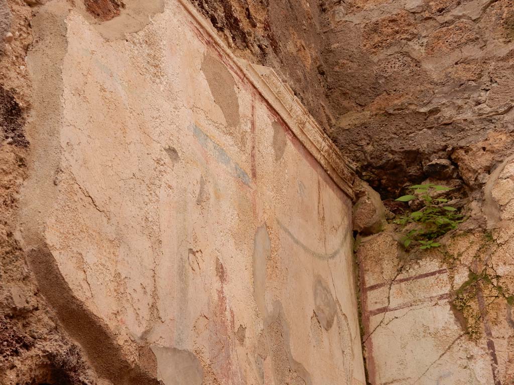 I.6.15 Pompeii. June 2019. Room 8, upper south wall. Photo courtesy of Buzz Ferebee.

