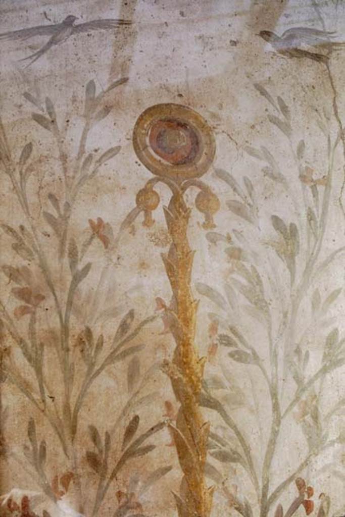 I.6.15 Pompeii. 1968. Room 9, small garden, wall on west side. Detail from painting with birds, plants and a medallion. Photo by Stanley A. Jashemski.
Source: The Wilhelmina and Stanley A. Jashemski archive in the University of Maryland Library, Special Collections (See collection page) and made available under the Creative Commons Attribution-Non Commercial License v.4. See Licence and use details.
J68f0511
