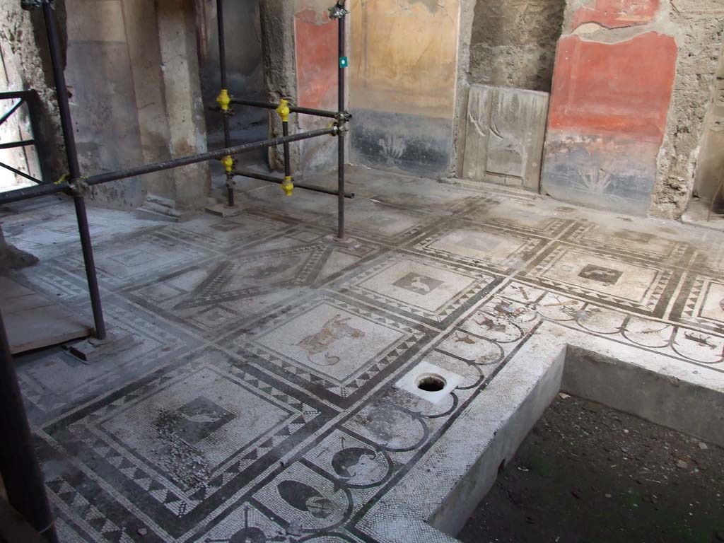 I.7.1 Pompeii. December 2006. Mosaic floor in atrium, looking north-east.