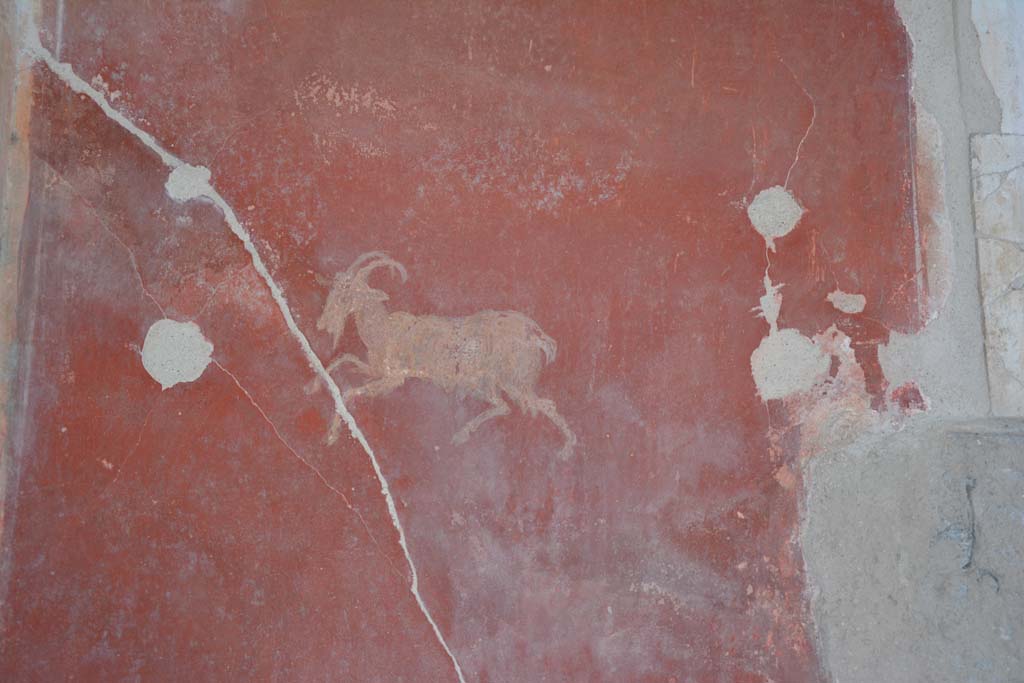 I.7.1 Pompeii. October 2019. Detail of painted goat from middle of red panel at east end of south wall of atrium. 
Foto Annette Haug, ERC Grant 681269 DCOR.
