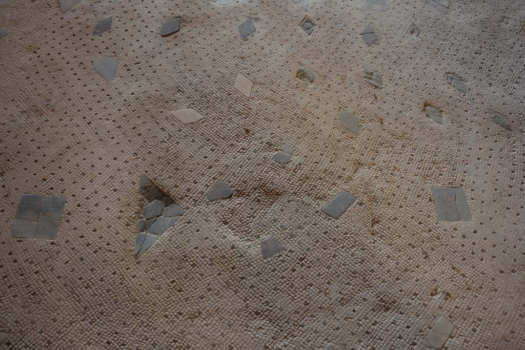 I.7.1 Pompeii. October 2019. Detail of flooring in oecus.
Foto Annette Haug, ERC Grant 681269 DCOR.

