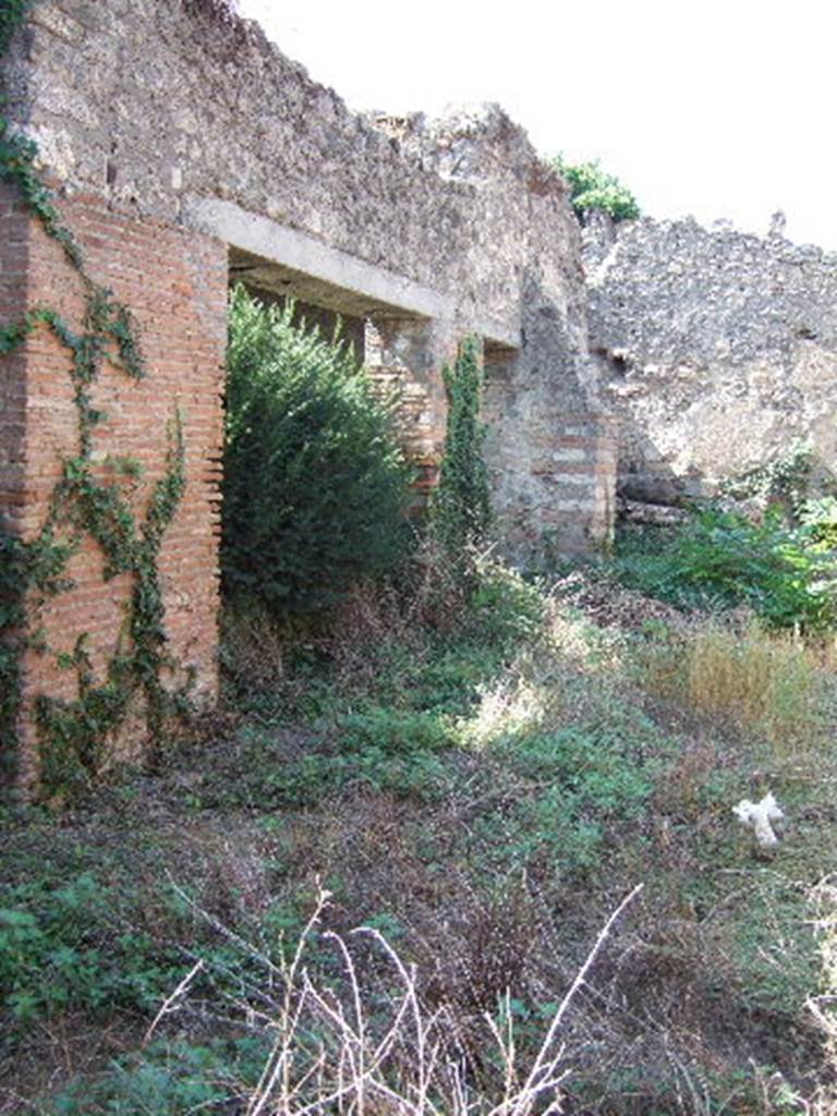 I.8.11 Pompeii. September 2005. Looking west from the entrance.

