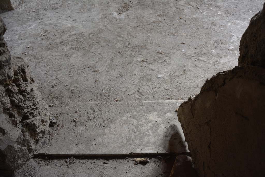 I.8.17 Pompeii. March 2019. Room 12, doorway threshold from cubiculum to atrium 3.
Foto Annette Haug, ERC Grant 681269 DCOR.
