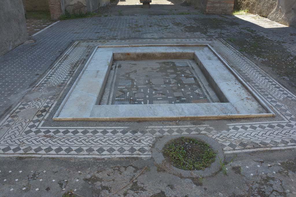 I.9.1 Pompeii. March 2009. Room 1, beautiful mosaic and marble impluvium in the atrium.
The impluvium’s background was of black mosaic with dots of white tesserae, tiles and flakes of polychrome marble, the walls and inner edge were of white marble with a rounded edge-strip. 

