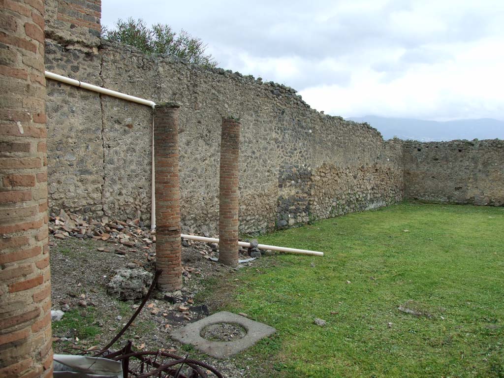 I.9.3 Pompeii. March 2009. Room 6, east wall of garden area.  