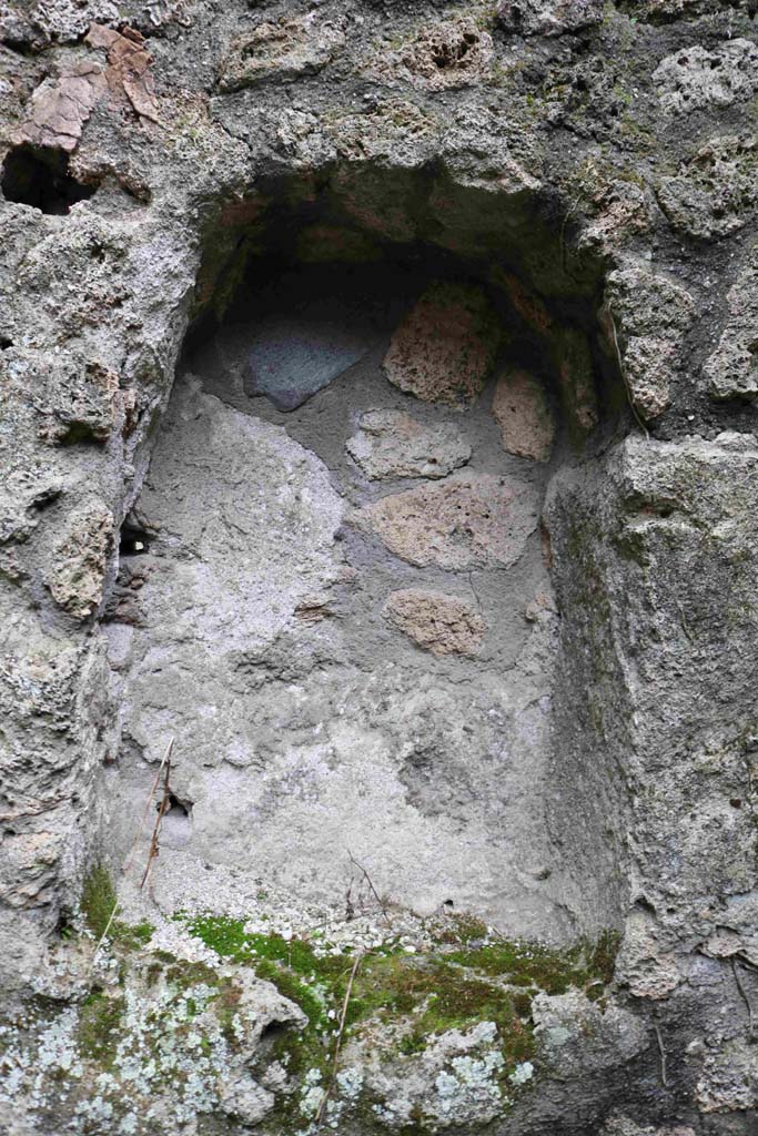 I.10.1 Pompeii. December 2018. 
Detail of the larger niche from south wall. Photo courtesy of Aude Durand.
