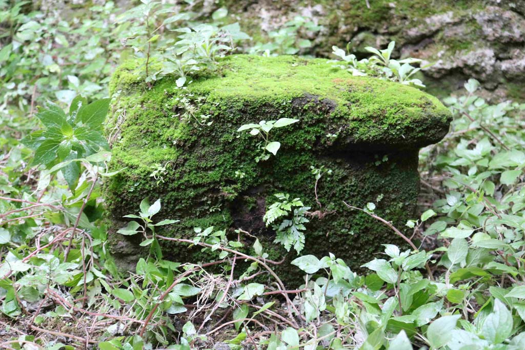 I.10.1 Pompeii. December 2018. Moss covered rock/stone/structure near the south-west corner. Photo courtesy of Aude Durand