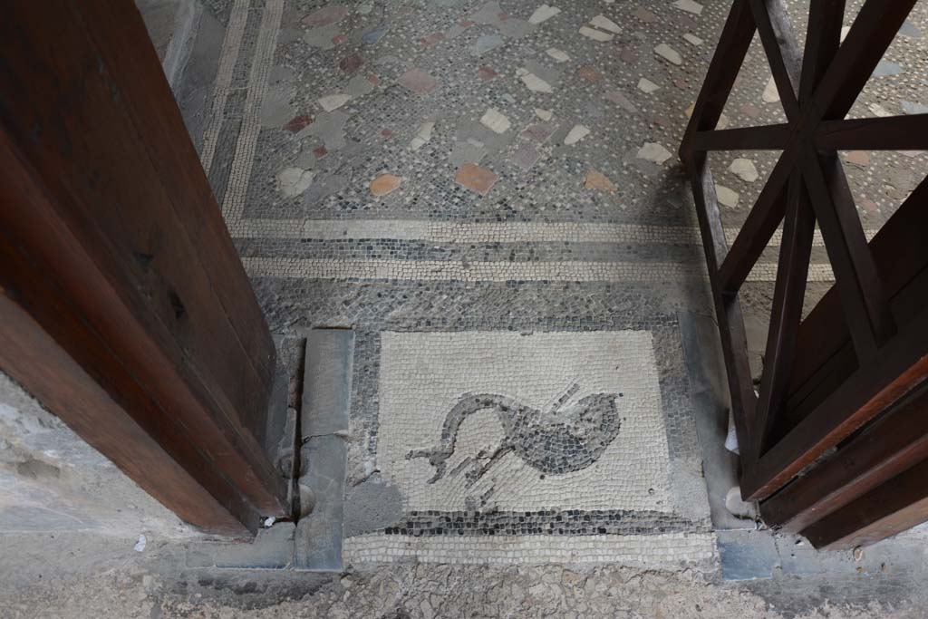 I.10.4 Pompeii. September 2019. Room 46, entrance doorway mosaic.
Foto Annette Haug, ERC Grant 681269 DCOR.
