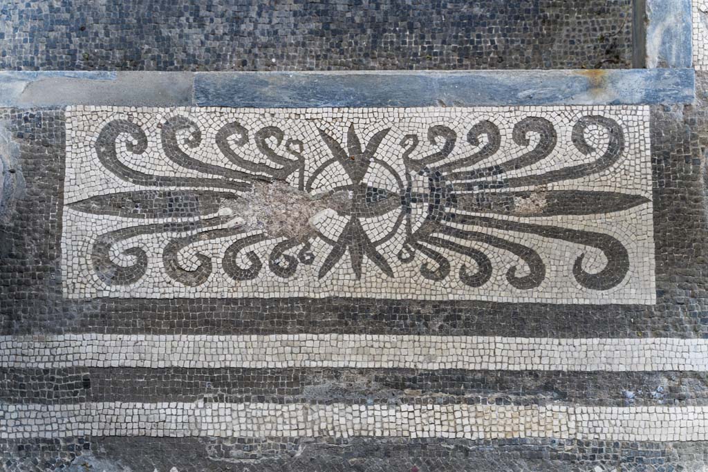 I.10.4 Pompeii. April 2022. Room 46, mosaic with plumes. Photo courtesy of Johannes Eber.