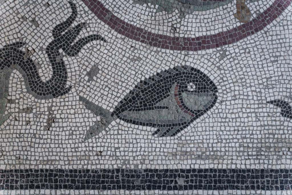 I.10.4 Pompeii. April 2022. Room 48, detail from floor mosaic. Photo courtesy of Johannes Eber.