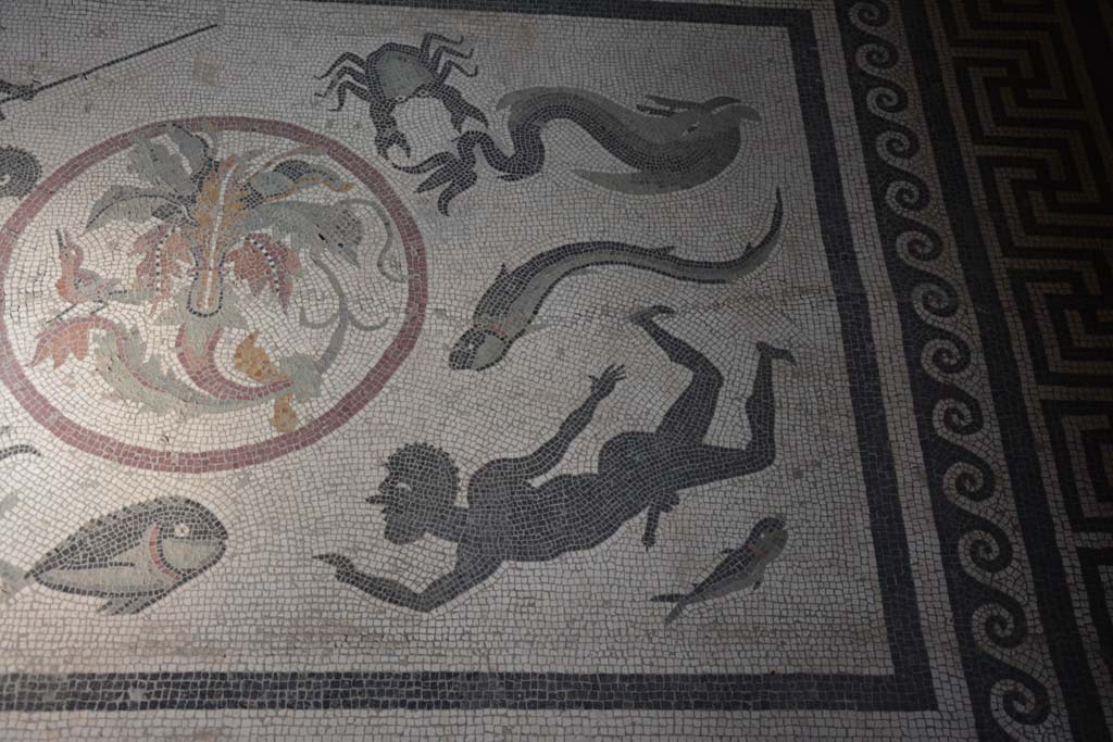 I.10.4 Pompeii. September 2019. Room 48, detail of figure on west side of floor mosaic.
Foto Annette Haug, ERC Grant 681269 DCOR.

