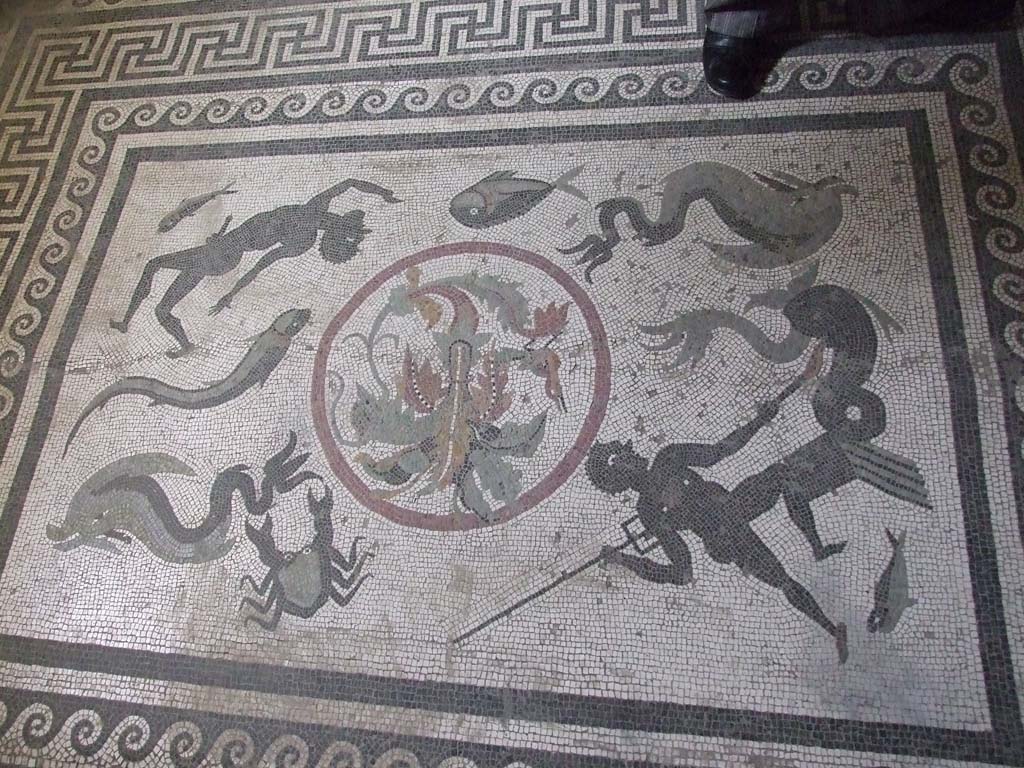 I.10.4 Pompeii. December 2006. Room 48, marine floor mosaic.