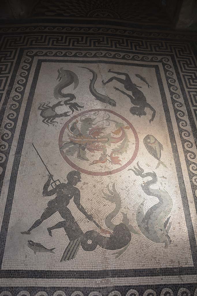 I.10.4 Pompeii. September 2019. Room 48, floor mosaic.
Foto Annette Haug, ERC Grant 681269 DCOR.

