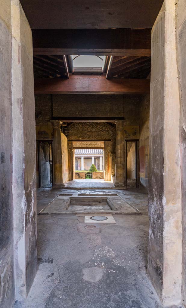 I.10.4 Pompeii. April 2022. 
Looking south across atrium from entrance corridor. Photo courtesy of Johannes Eber.
In the fauces or entrance corridor is a painting of swan with wings outstretched.


