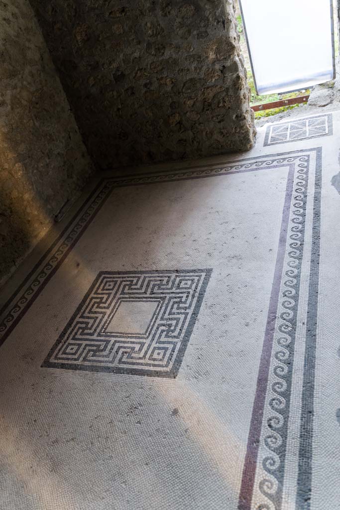 I.10.4 Pompeii. April 2022. 
Room 47, looking west across mosaic flooring in tepidarium (warm room). Photo courtesy of Johannes Eber.

