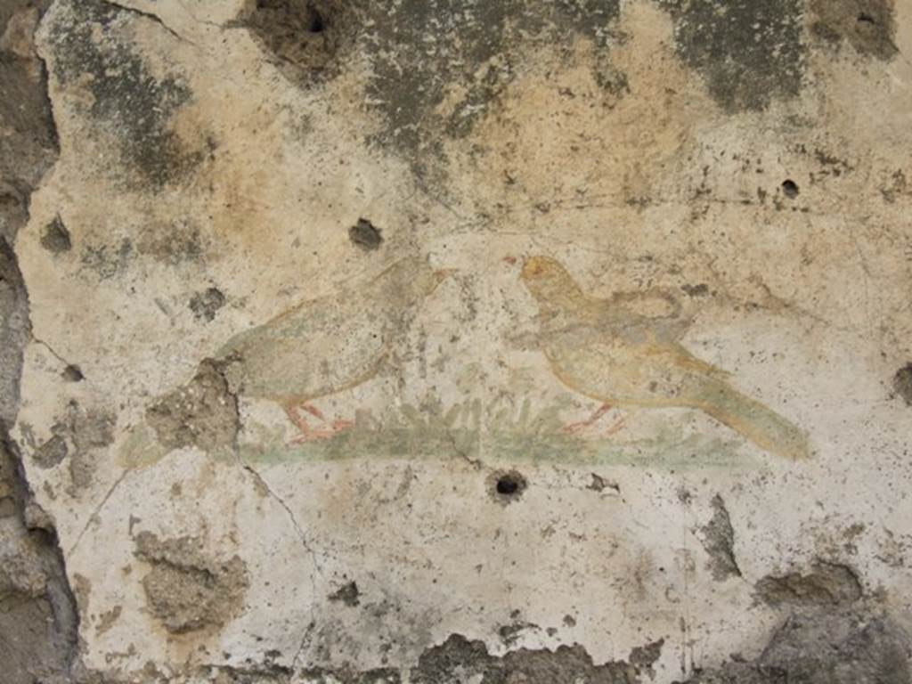 I.10.6 Pompeii. December 2007. Detail of bird wall painting from west wall of small room to east of workshop.