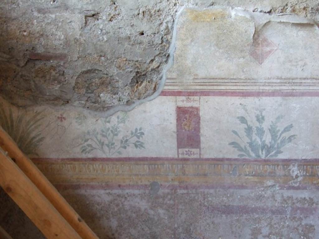 I.10.8 Pompeii. March 2009. Room 8, east wall of tablinum with painted plant decorations.