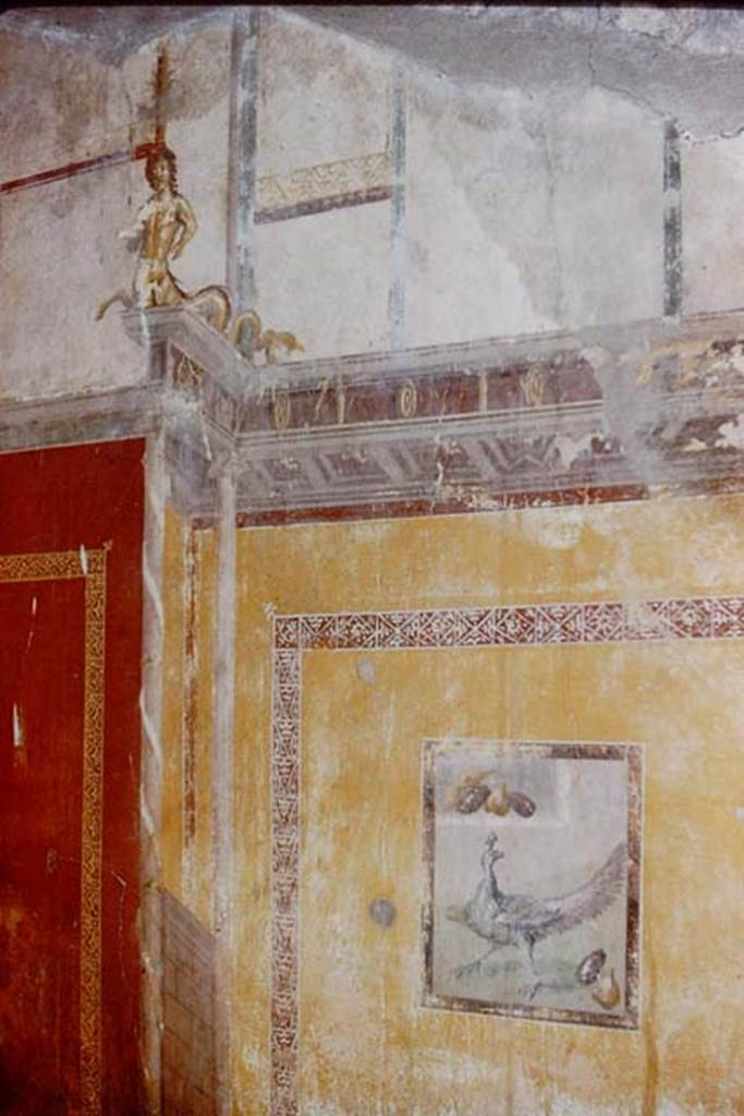 I.10.11 Pompeii. 1959. Room 9, detail from south wall of cubiculum.  Photo by Stanley A. Jashemski.
Source: The Wilhelmina and Stanley A. Jashemski archive in the University of Maryland Library, Special Collections (See collection page) and made available under the Creative Commons Attribution-Non Commercial License v.4. See Licence and use details.
J59f0285
