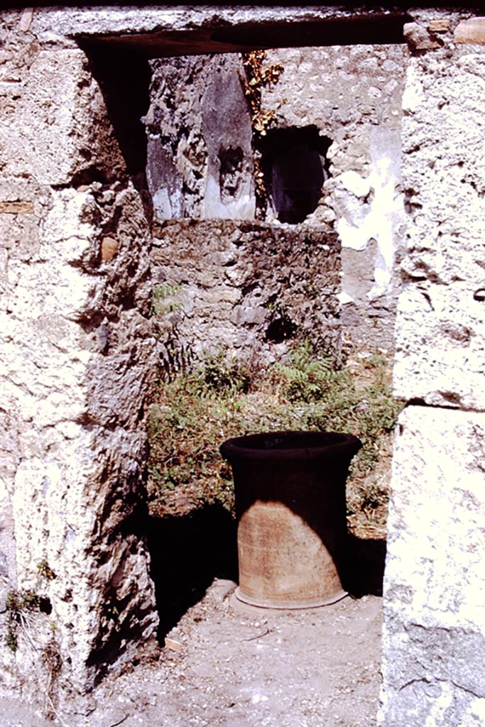 I.15.1 Pompeii. 1972. 
Looking north through doorway at west end of rear of house. Photo by Stanley A. Jashemski. 
Source: The Wilhelmina and Stanley A. Jashemski archive in the University of Maryland Library, Special Collections (See collection page) and made available under the Creative Commons Attribution-Non-Commercial License v.4. See Licence and use details.
J72f0636
