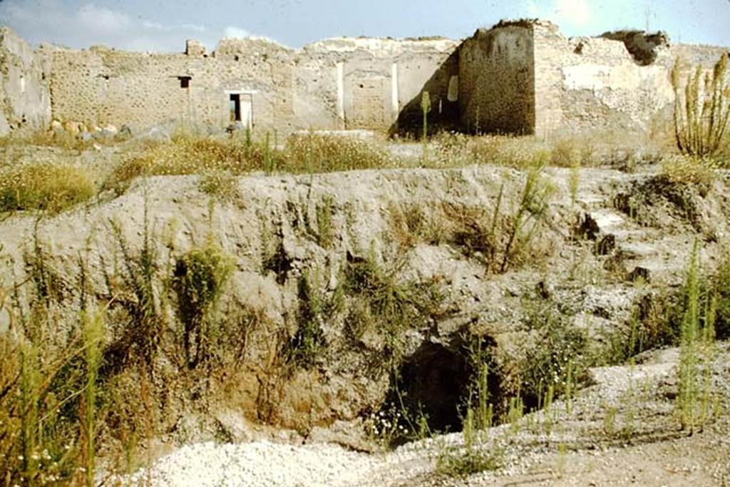 I.15.3 Pompeii. 1959. Looking north in garden 14 to a strange hole discovered with steps down into it.  See Jashemski, W. F., 1993. The Gardens of Pompeii, Volume II: Appendices. New York: Caratzas. (p.63)
Photo by Stanley A. Jashemski.
Source: The Wilhelmina and Stanley A. Jashemski archive in the University of Maryland Library, Special Collections (See collection page) and made available under the Creative Commons Attribution-Non Commercial License v.4. See Licence and use details.
J59f0199
