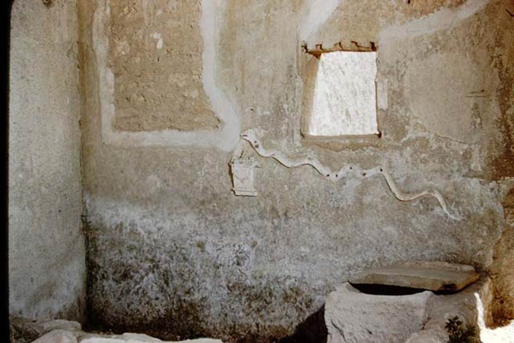 I.16.3 Pompeii. 1959. Looking towards south wall-east corner of small garden/pool.
The stucco relief serpent, with a small altar below the head of the serpent, can both be seen. At the foot of the wall was a garden painting. Photo by Stanley A. Jashemski.
Source: The Wilhelmina and Stanley A. Jashemski archive in the University of Maryland Library, Special Collections (See collection page) and made available under the Creative Commons Attribution-Non Commercial License v.4. See Licence and use details.
J59f0506
