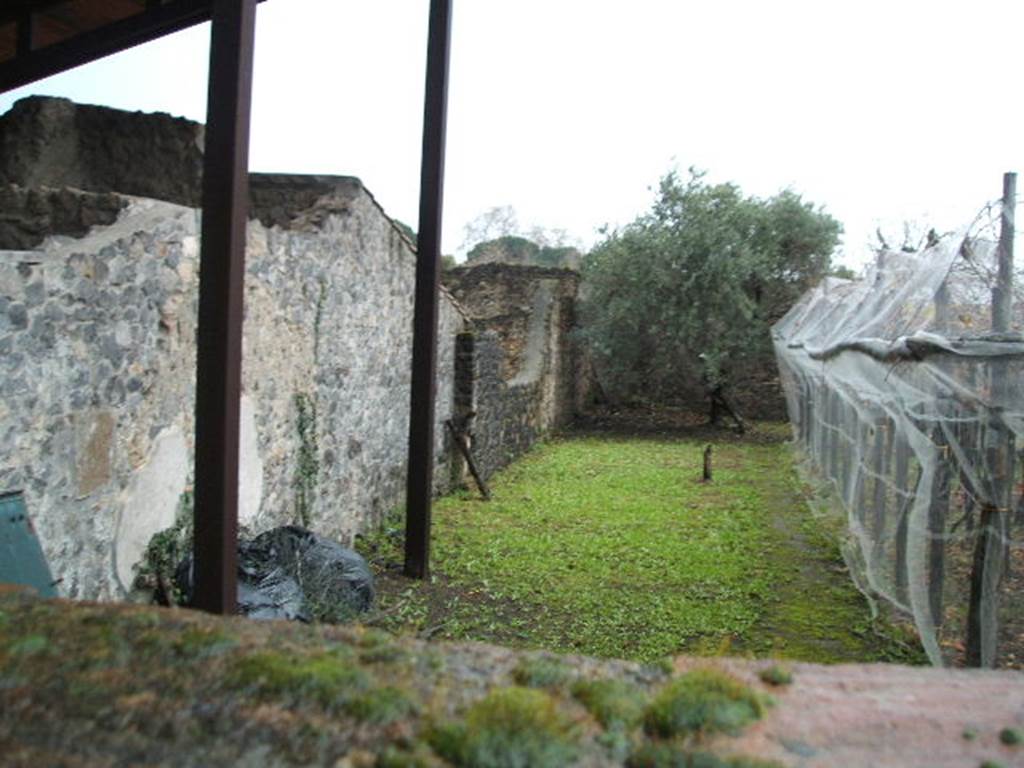 I.20.5 Pompeii. December 2004. Looking west along south wall of vineyard/garden. 

