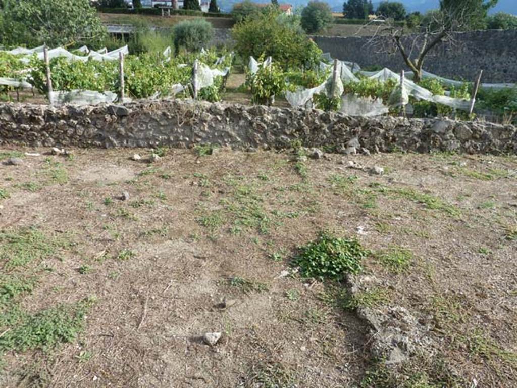 I.21.2 Pompeii. September 2015. Looking south from doorway.