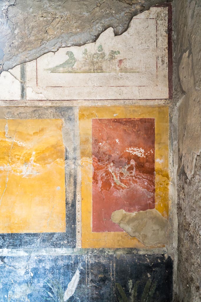 II.1.12 Pompeii. July 2021. 
North wall of triclinium, near east end. Photo courtesy of Johannes Eber.
